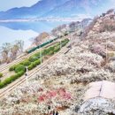 삼시세때국밥 이미지