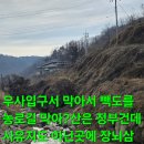 백두대간 사시 상황버섯 산행.191. (빽도와 행운) 이미지