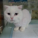 전주전라초등학교 이미지