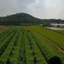 엔도르핀농장 이미지