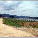 천일태양광발전소 이미지