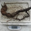 광산구-025 이미지