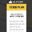 모두솔루션 이미지