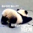 짐슈타인 이미지