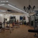 파란헬스살롱 | 논현역 헬스장 추천 파란헬스살롱 / 월간 보험소식지