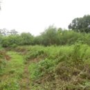 부등  마을회관 이미지