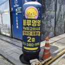 안녕!멍멍 | 하남시청역 애견미용 블루멍멍 다녀온 후기 목욕 스파까지 힐링 미용샵