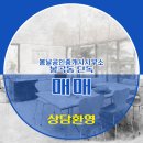 봄날공인중개사사무소 이미지