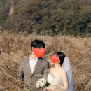 태사2길 | W.8 야외 웨딩스냅 촬영 후기 / 안동 스튜디오공작소 스냅촬영 / 충주 비내섬 웨딩스냅 후기📷