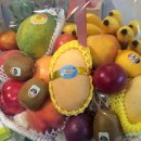 백인숙산부인과의원 이미지