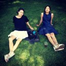 모스트(MOST) 이미지