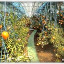 정경농장 이미지