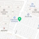 킹프림 애견샵 이미지