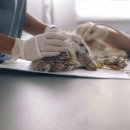 라파엘동물병원 이미지