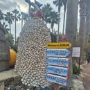 좋아요 펜션 | [제주/협재] 가성비 제주 협재 숙소 내돈내산 솔직후기 *코코스펜션*