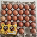 자연애찬 - 천안시 서북구 공원로 227 | 바쁜아침 간편하게 먹을 수 있는 건강 간식, 자연애찬 정직한 훈제란 솔직 후기(feat. 쿠팡)