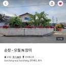 오월N장미 이미지