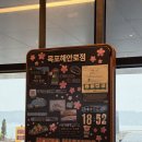 해안로 | 목포 스타벅스 해안로점ㅣ오션뷰 스타벅스 내돈내산 후기