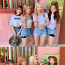 미드나잇 티브이데일리