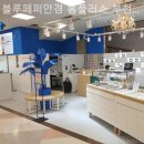 블루페퍼 안경 소사점 이미지