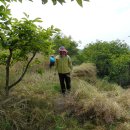 회진면사무소 이미지