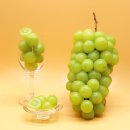 박병일농장 이미지