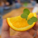 함지푸드 이미지