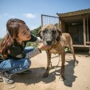 First Farm 이미지