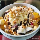 강릉 한옥 카페 추천 서지초가뜰 반려견 동반 가능 분위기 맛집 팥빙수 전통 수제차 솔직 후기
