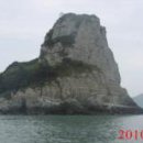 복생도 Daum백과