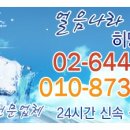 얼음나라 히딩크