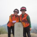 2026년4월산행 창원천주산(638m)과 남지 유채꽃 이미지