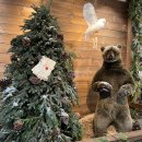 마이캐리 | 캐리마켓 신사 방문후기 | 미피, 산리오, 스누피, 퍼글러, 더덕타운, 이야이야앤프렌즈, 오사무굿즈