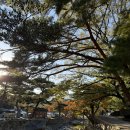 신가도서관 | 가을과 겨울 사이