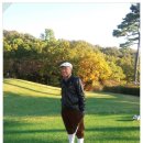 옥스치과의원 이미지