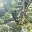 본가제주밥상 이미지