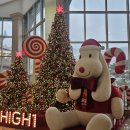 홀덤 연승을 위해 갔다가 블랙잭으로 소소한 승한 후기.. 이미지