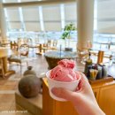 비스타리조트 | 거제 소노캄 리조트 비스타 스위트 파노라마 거제도 숙소 후기