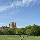 그랜드라인코퍼레이션 | 5월 뉴욕 여행 프롤로그 🗽 여행 일정 항공 숙소 정보 공유 ꯁ