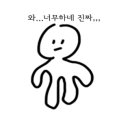 허스키 사랑 이미지