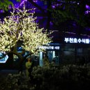 수피아조명