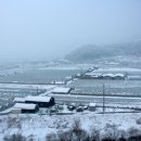 일산3리 이미지