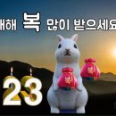 2023-0102 티스토리