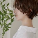 제이지안 이미지