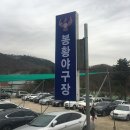 봉황야구장 Daum카페