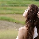 여름비 이미지
