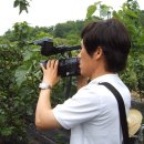 태양농장 이미지