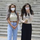 다솜 이미지