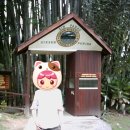포링포링(Poring Poring)