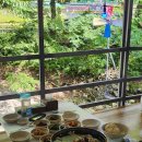 길손식당 | 광덕 계곡식당 길손쉼터 백숙 평상 후기